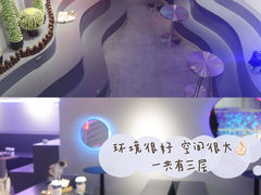 -极木²邸 人与宠物·互动社区