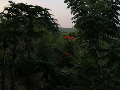 -亚龙湾热带天堂森林公园