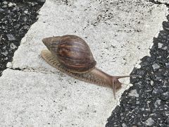 -火炉山森林公园