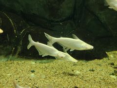 -常州海昌海洋探索馆