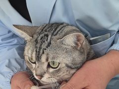 -汪喵宠物医院·骨科心脏影像·犬猫急重症ICU诊疗中心(成华分院)