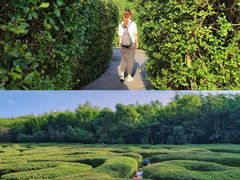 -大屏嶂森林公园