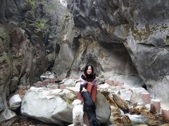 -黑河国家森林公园