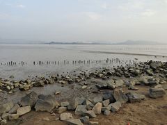 -深圳湾公园(南山区)