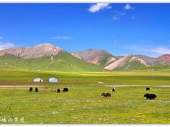 -祁连山草原