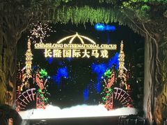 -广州长隆国际大马戏