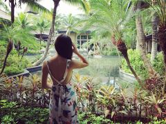 -海南清水湾莱佛士酒店