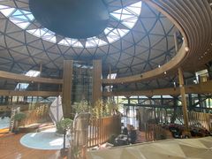 -上海滴水湖皇冠假日酒店