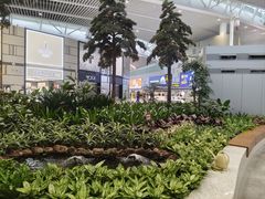 -青岛胶东国际机场