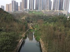 -重庆彩云湖湿地公园