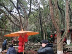 -天目湖山水园