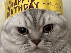 -黑池口感烘焙·生日蛋糕(坂田店)