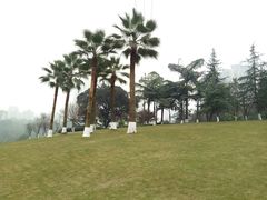 -龙头寺公园