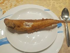 -新净雅烹小鲜(学院路店)