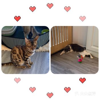 和朋友正好在中山公园附近吃饭，然后搜到这家店就在附近