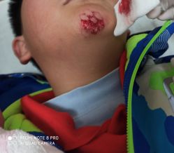 -上海交通大学医学院附属上海儿童医学中心(陆家嘴总院区)