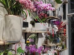 -FEI FEI FLOWER鲜花店·气球派对·宝宝宴布置(虹口德必运动Loft店)