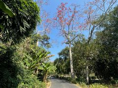 -中国科学院西双版纳热带植物园