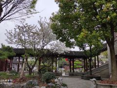 -檀园