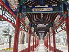 -中国人民解放军总医院