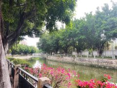 -晓港公园