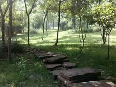 -成都中医药大学(温江校区)