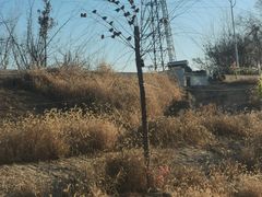 -白洋淀景区