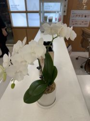 -Yestar艺星整形美容医院