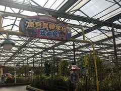 -南宫五洲植物乐园