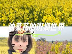 -三圣花乡旅游区