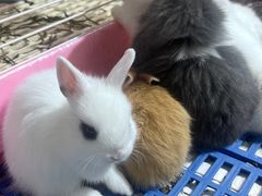 -三旗百汇商品城