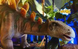 -恐龙探索乐园(磁器口店)