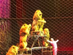 -珠海横琴长隆《卡卡虎奇遇记》