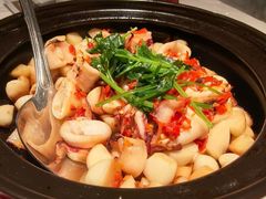 -茉里乐章(花园店)