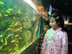 -嘉兴海底世界
