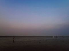 -南汇嘴观海公园