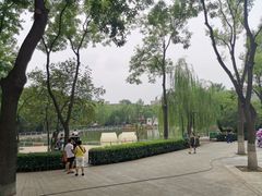-莲湖公园