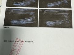 -半岛宠物医院24小时(科华中路店)