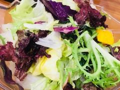 -巴依老爷新疆美食(望京小街店)