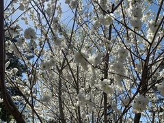 -吴裕泰茶庄(西单店)