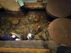 -淀里船宴(卓达店)