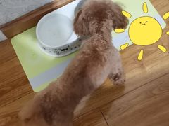 -诺比宠物医院心脏内科·泌尿肾内外科·骨科急重症