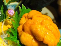 -水之惠鲜鱼料理(王府大街店)