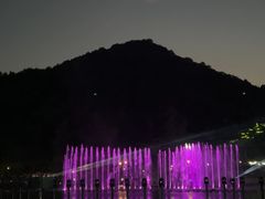 -千年银杏谷文化旅游区