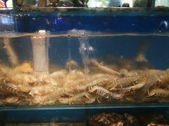 -19°c海鲜烧烤大排档
