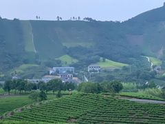 -帐篷客·溪龙茶谷度假酒店