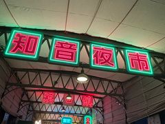 -武汉知音号