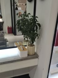 -LJOY丽锦造型·烫发染发