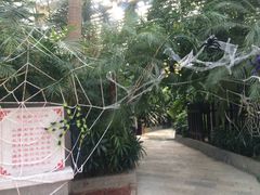 -龙达温泉生态城