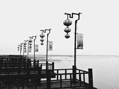 -泗洪洪泽湖湿地景区